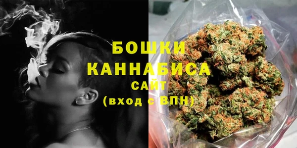 ECSTASY Богданович